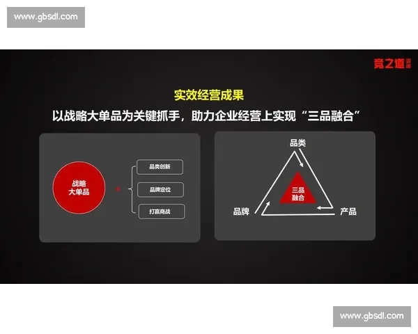 以品牌影响力为核心驱动企业价值增长与市场竞争优势研究提升战略路径
